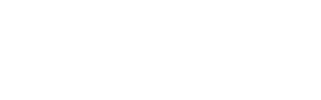 Logo png white - Wineriz