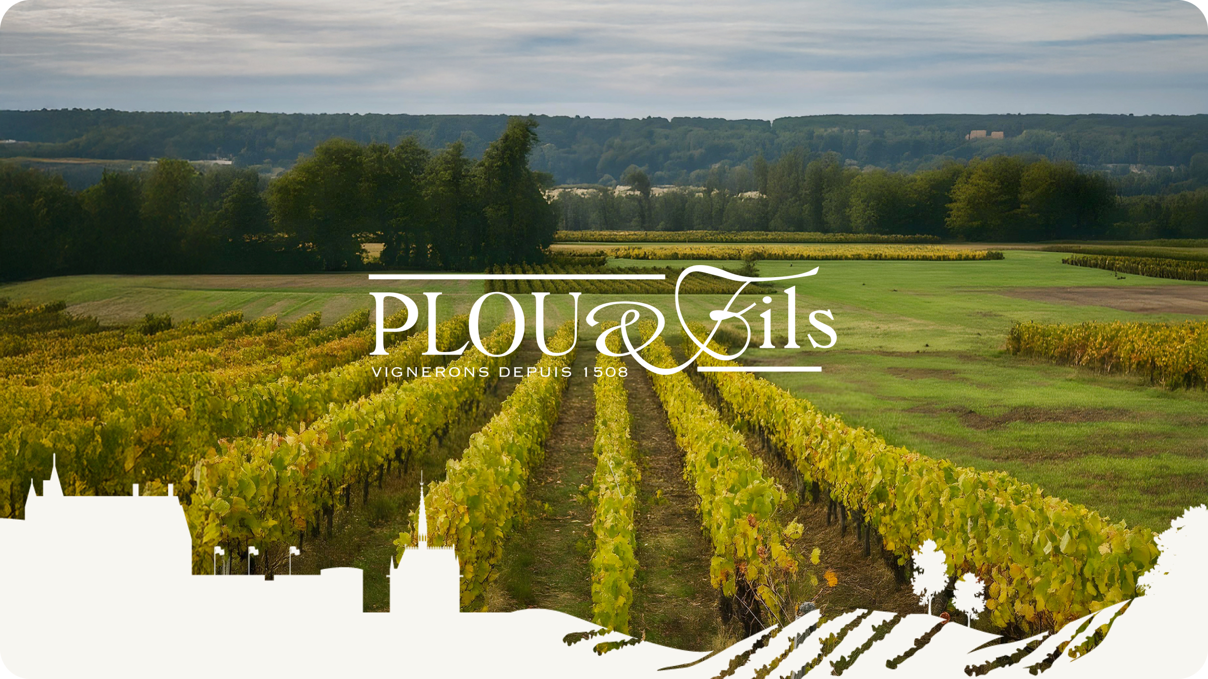 "Vignoble du Domaine Plou & Fils à Amboise – présentation du cas client Wineriz"
