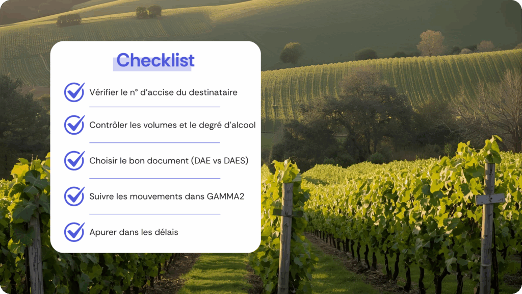 Encart graphique illustrant les bonnes pratiques pour réussir ses formalités douanières DAE/DAES