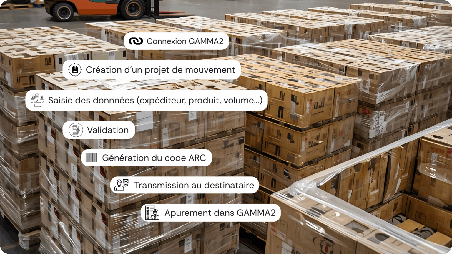 DAE / DAES : guide complet des formalités douanières du vin - Wineriz