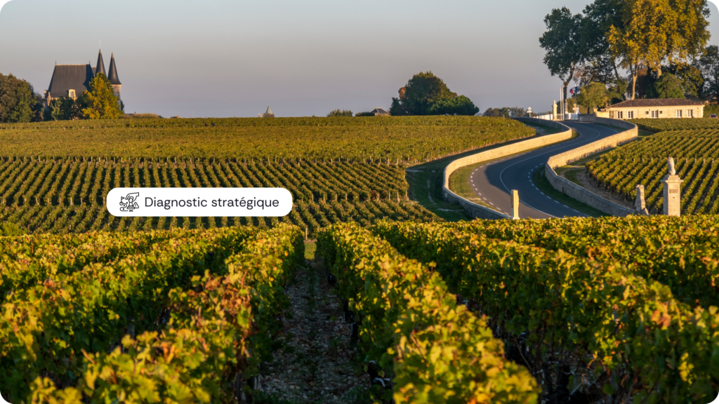 Diagnostic du plan commercial pour un domaine viticole