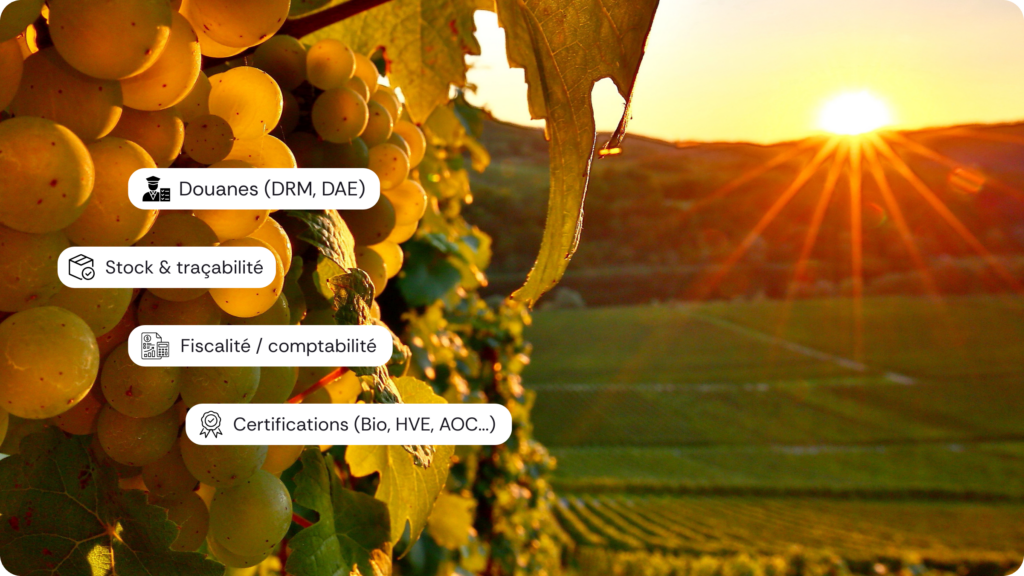 Principaux contrôles et audits dans un domaine viticole