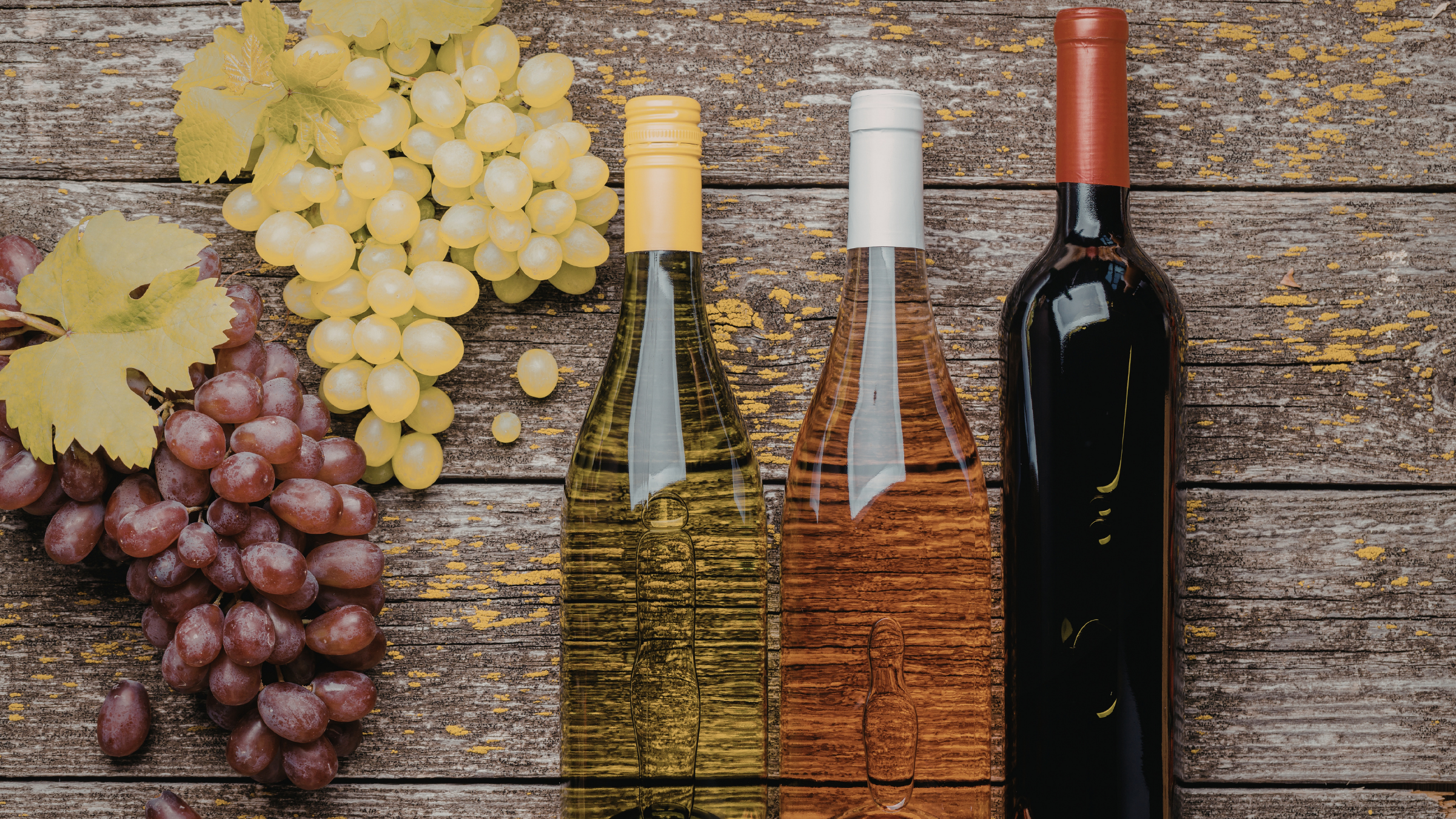 Domaine viticole préparant la transition vers la facture électronique 2026 — facturation électronique vigneron | Wineriz