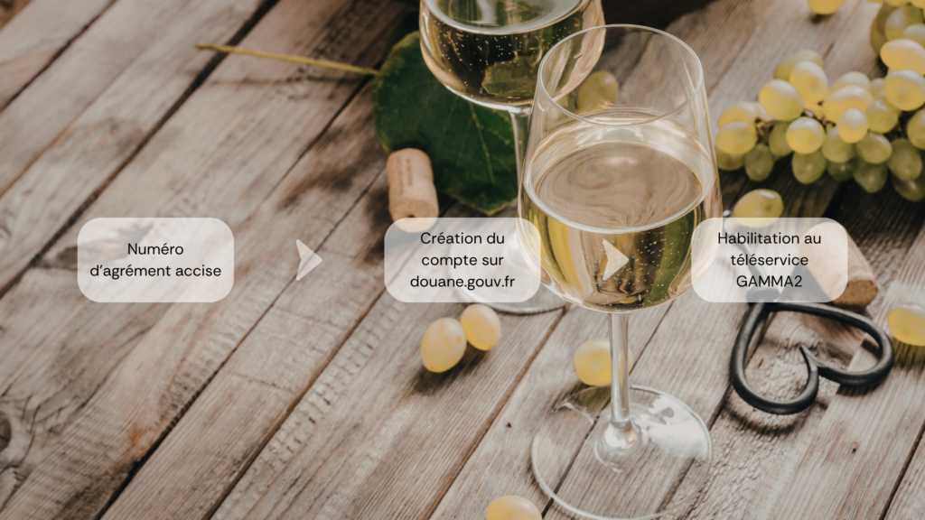 Parcours administratif d'accès à GAMMA2 en 3 étapes pour un domaine viticole — accès portail douane viticole | Wineriz